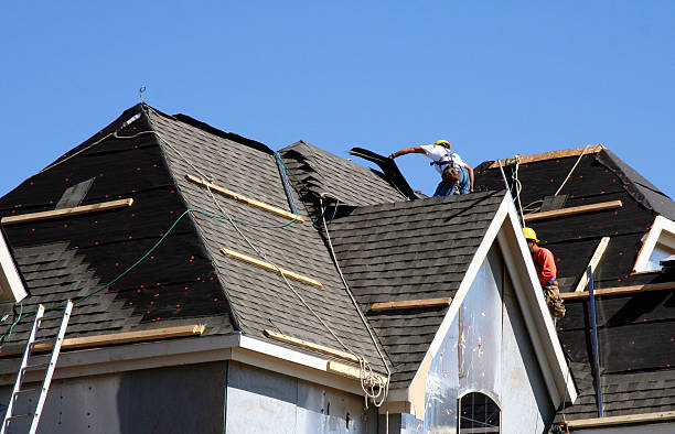 Best Shingle Roofing Installation  in Cambridge, MN