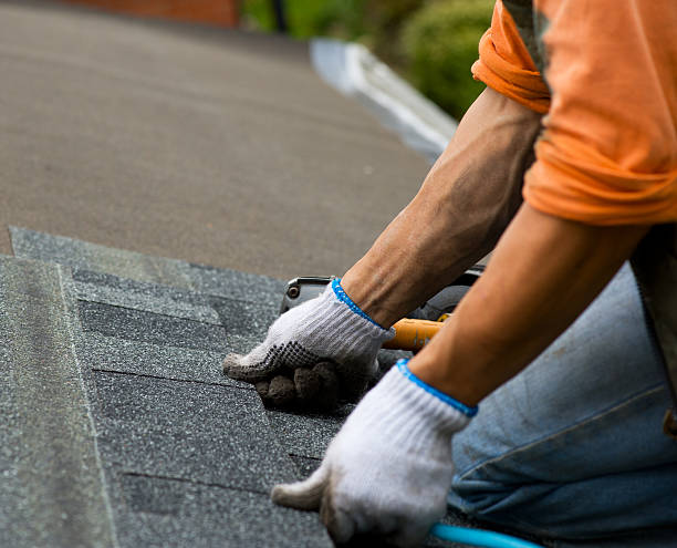 Best Metal Roofing Contractor  in Cambridge, MN